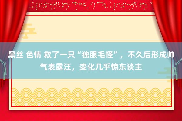 黑丝 色情 救了一只“独眼毛怪”，不久后形成帅气表露汪，变化几乎惊东谈主