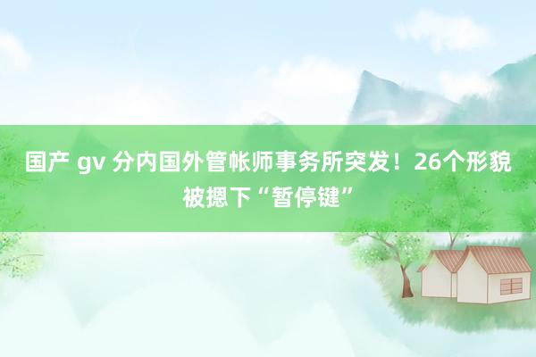 国产 gv 分内国外管帐师事务所突发！26个形貌被摁下“暂停键”
