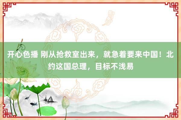 开心色播 刚从抢救室出来,就急着要来中国!北约这国总理,目标不浅易