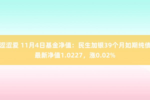 涩涩爱 11月4日基金净值：民生加银39个月如期纯债最新净值1.0227，涨0.02%