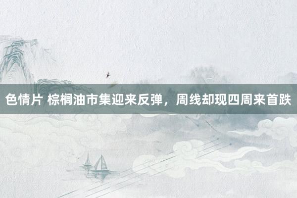 色情片 棕榈油市集迎来反弹，周线却现四周来首跌