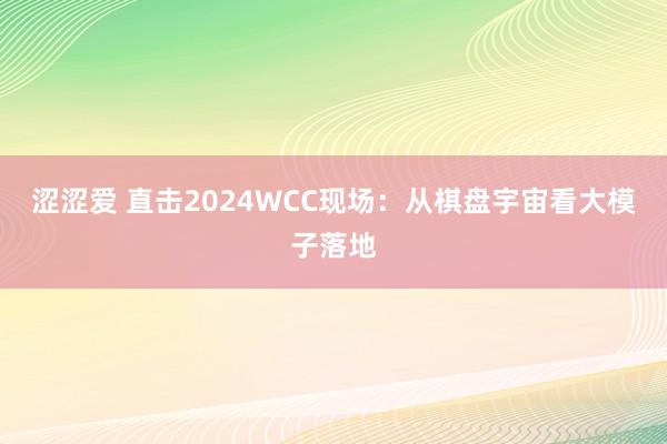 涩涩爱 直击2024WCC现场：从棋盘宇宙看大模子落地