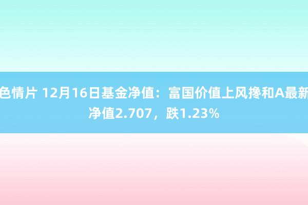 色情片 12月16日基金净值：富国价值上风搀和A最新净值2.707，跌1.23%