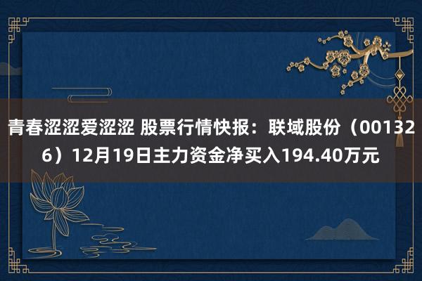 青春涩涩爱涩涩 股票行情快报：联域股份（001326）12月19日主力资金净买入194.40万元