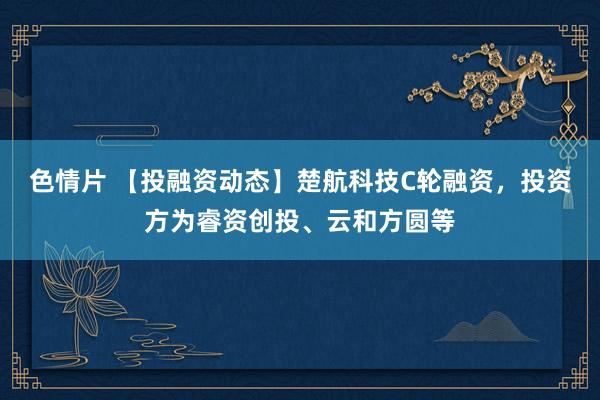色情片 【投融资动态】楚航科技C轮融资，投资方为睿资创投、云和方圆等