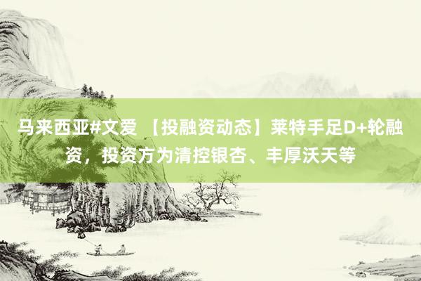 马来西亚#文爱 【投融资动态】莱特手足D+轮融资，投资方为清控银杏、丰厚沃天等