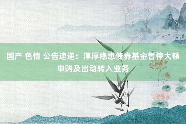 国产 色情 公告速递：淳厚稳惠债券基金暂停大额申购及出动转入业务