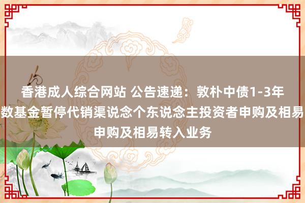 香港成人综合网站 公告速递：敦朴中债1-3年政金债指数基金暂停代销渠说念个东说念主投资者申购及相易转入业务