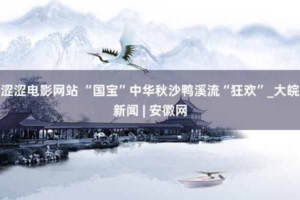 涩涩电影网站 “国宝”中华秋沙鸭溪流“狂欢”_大皖新闻 | 安徽网