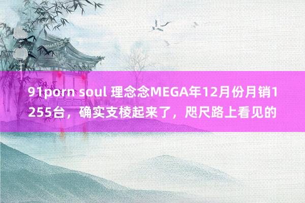 91porn soul 理念念MEGA年12月份月销1255台，确实支棱起来了，咫尺路上看见的