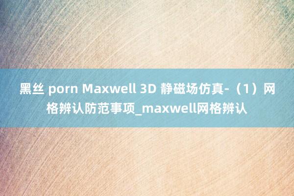 黑丝 porn Maxwell 3D 静磁场仿真-（1）网格辨认防范事项_maxwell网格辨认