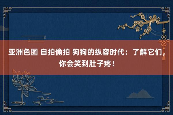 亚洲色图 自拍偷拍 狗狗的纵容时代：了解它们，你会笑到肚子疼！