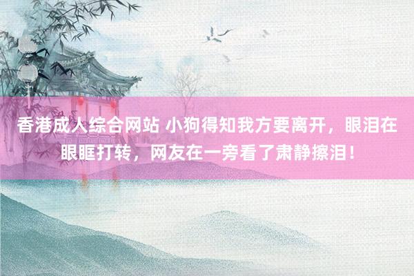 香港成人综合网站 小狗得知我方要离开，眼泪在眼眶打转，网友在一旁看了肃静擦泪！