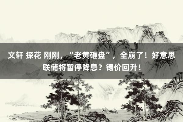 文轩 探花 刚刚，“老黄砸盘”，全崩了！好意思联储将暂停降息？锡价回升！