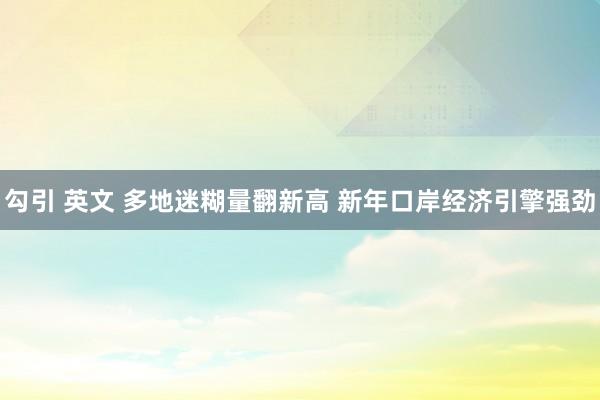 勾引 英文 多地迷糊量翻新高 新年口岸经济引擎强劲
