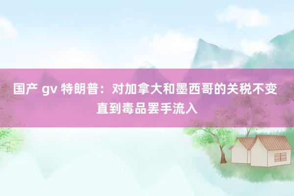 国产 gv 特朗普：对加拿大和墨西哥的关税不变 直到毒品罢手流入