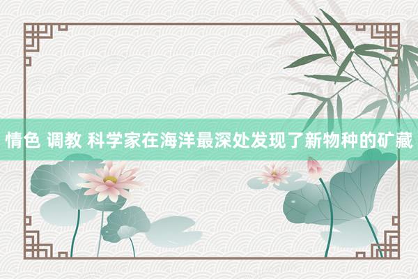 情色 调教 科学家在海洋最深处发现了新物种的矿藏