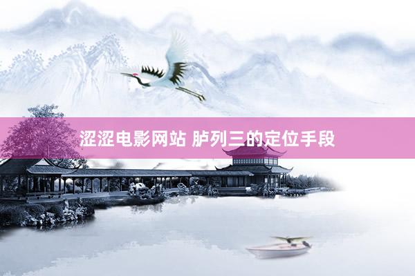 涩涩电影网站 胪列三的定位手段