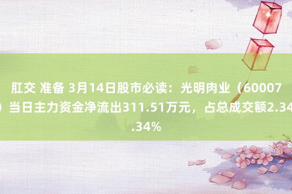 肛交 准备 3月14日股市必读：光明肉业（600073）当日主力资金净流出311.51万元，占总成交额2.34%