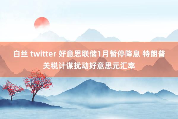 白丝 twitter 好意思联储1月暂停降息 特朗普关税计谋扰动好意思元汇率