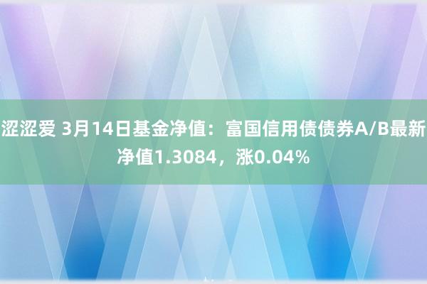 涩涩爱 3月14日基金净值：富国信用债债券A/B最新净值1.3084，涨0.04%