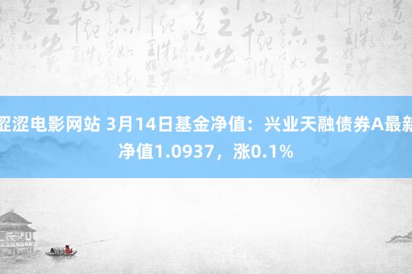 涩涩电影网站 3月14日基金净值：兴业天融债券A最新净值1.0937，涨0.1%