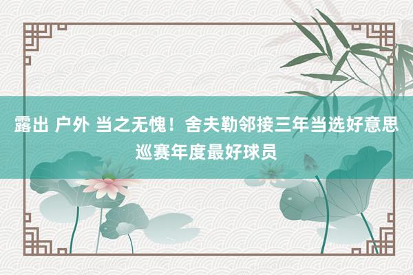 露出 户外 当之无愧！舍夫勒邻接三年当选好意思巡赛年度最好球员