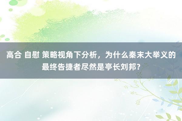 高合 自慰 策略视角下分析，为什么秦末大举义的最终告捷者尽然是亭长刘邦？