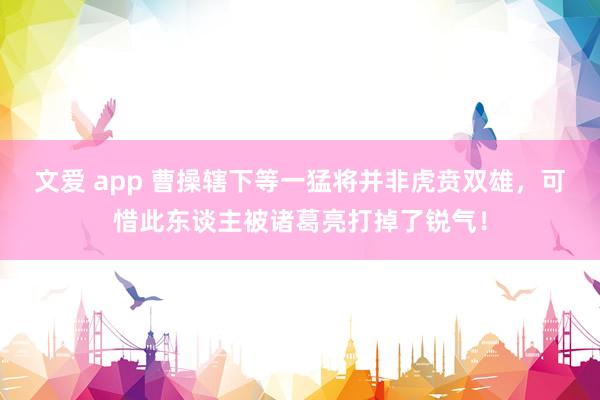 文爱 app 曹操辖下等一猛将并非虎贲双雄，可惜此东谈主被诸葛亮打掉了锐气！