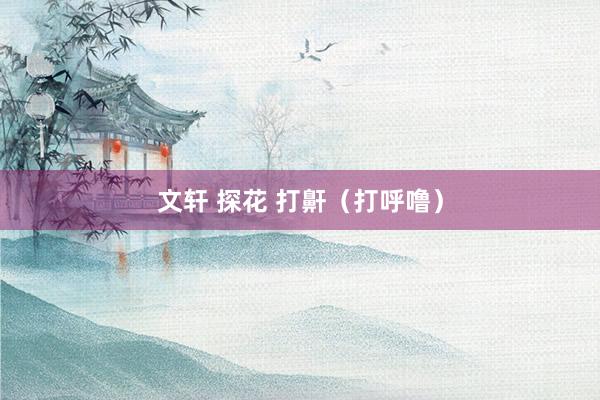 文轩 探花 打鼾（打呼噜）