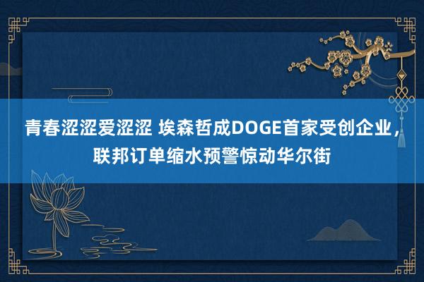 青春涩涩爱涩涩 埃森哲成DOGE首家受创企业，联邦订单缩水预警惊动华尔街