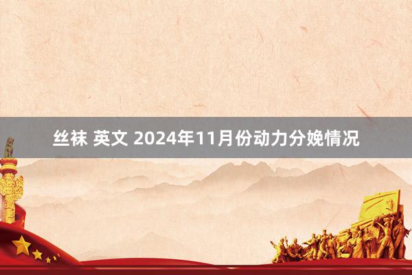 丝袜 英文 2024年11月份动力分娩情况