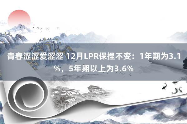 青春涩涩爱涩涩 12月LPR保捏不变：1年期为3.1%，5年期以上为3.6%