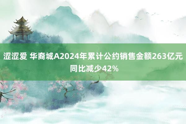 涩涩爱 华裔城A2024年累计公约销售金额263亿元 同比减少42%