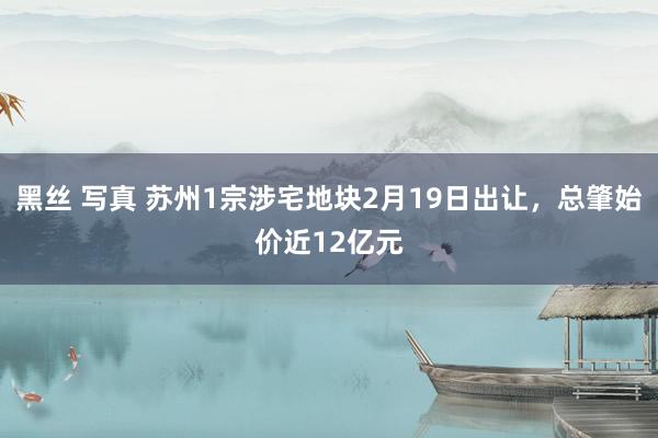 黑丝 写真 苏州1宗涉宅地块2月19日出让，总肇始价近12亿元
