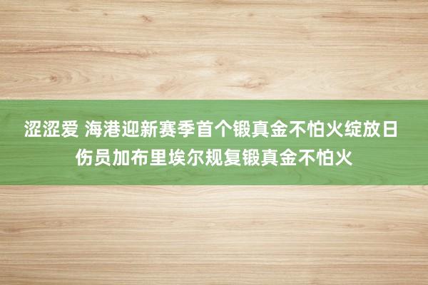 涩涩爱 海港迎新赛季首个锻真金不怕火绽放日 伤员加布里埃尔规复锻真金不怕火