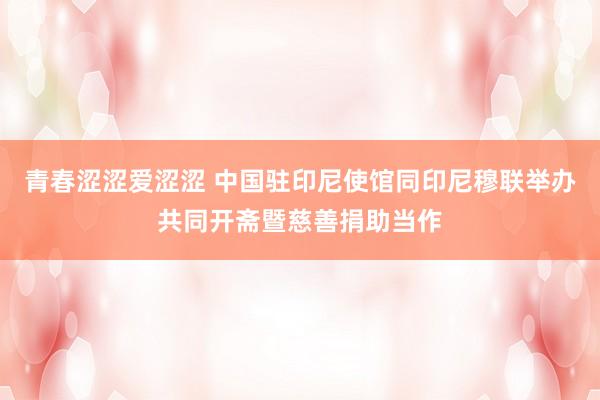 青春涩涩爱涩涩 中国驻印尼使馆同印尼穆联举办共同开斋暨慈善捐助当作