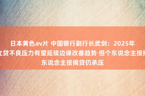 日本黄色av片 中国银行副行长武剑：2025年房地产成立贷不良压力有望延续边缘改善趋势 但个东说念主按揭贷仍承压