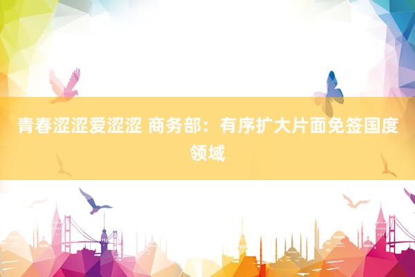 青春涩涩爱涩涩 商务部：有序扩大片面免签国度领域