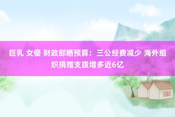 巨乳 女優 财政部晒预算：三公经费减少 海外组织捐赠支拨增多近6亿