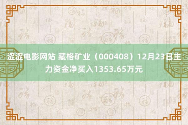 涩涩电影网站 藏格矿业（000408）12月23日主力资金净买入1353.65万元