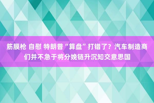筋膜枪 自慰 特朗普“算盘”打错了？汽车制造商们并不急于将分娩链升沉知交意思国