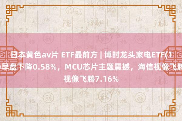 日本黄色av片 ETF最前方 | 博时龙头家电ETF(159730)早盘下降0.58%，MCU芯片主题震撼，海信视像飞腾7.16%