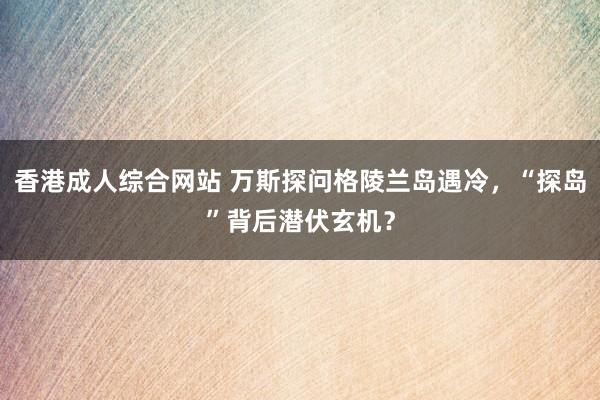 香港成人综合网站 万斯探问格陵兰岛遇冷，“探岛”背后潜伏玄机？