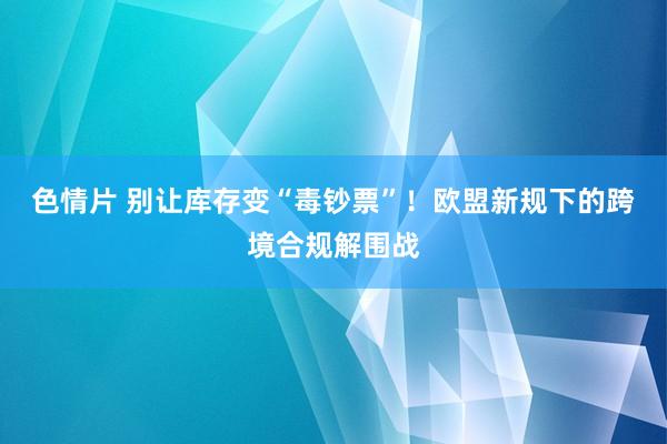 色情片 别让库存变“毒钞票”！欧盟新规下的跨境合规解围战
