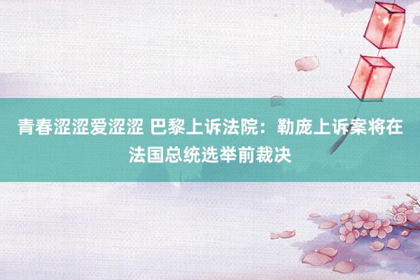 青春涩涩爱涩涩 巴黎上诉法院：勒庞上诉案将在法国总统选举前裁决