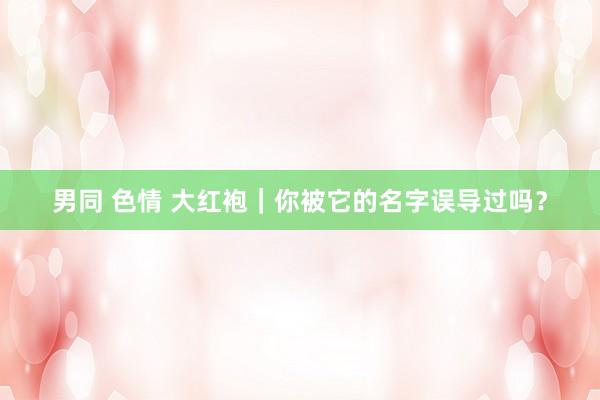男同 色情 大红袍｜你被它的名字误导过吗？