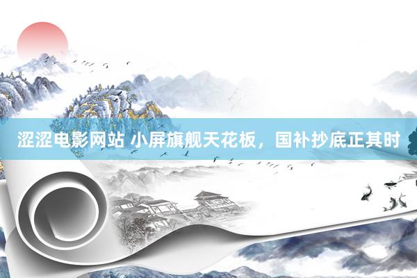 涩涩电影网站 小屏旗舰天花板，国补抄底正其时
