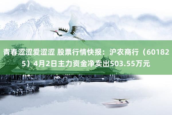 青春涩涩爱涩涩 股票行情快报：沪农商行（601825）4月2日主力资金净卖出503.55万元