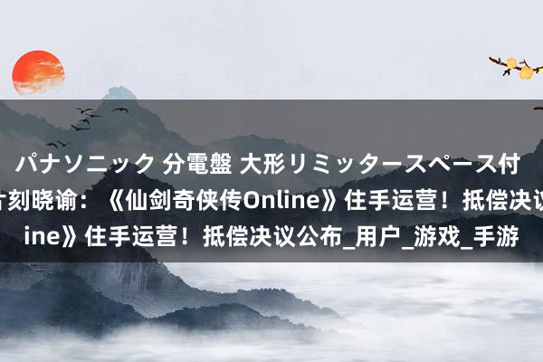 パナソニック 分電盤 大形リミッタースペース付 露出・半埋込両用形 片刻晓谕：《仙剑奇侠传Online》住手运营！抵偿决议公布_用户_游戏_手游